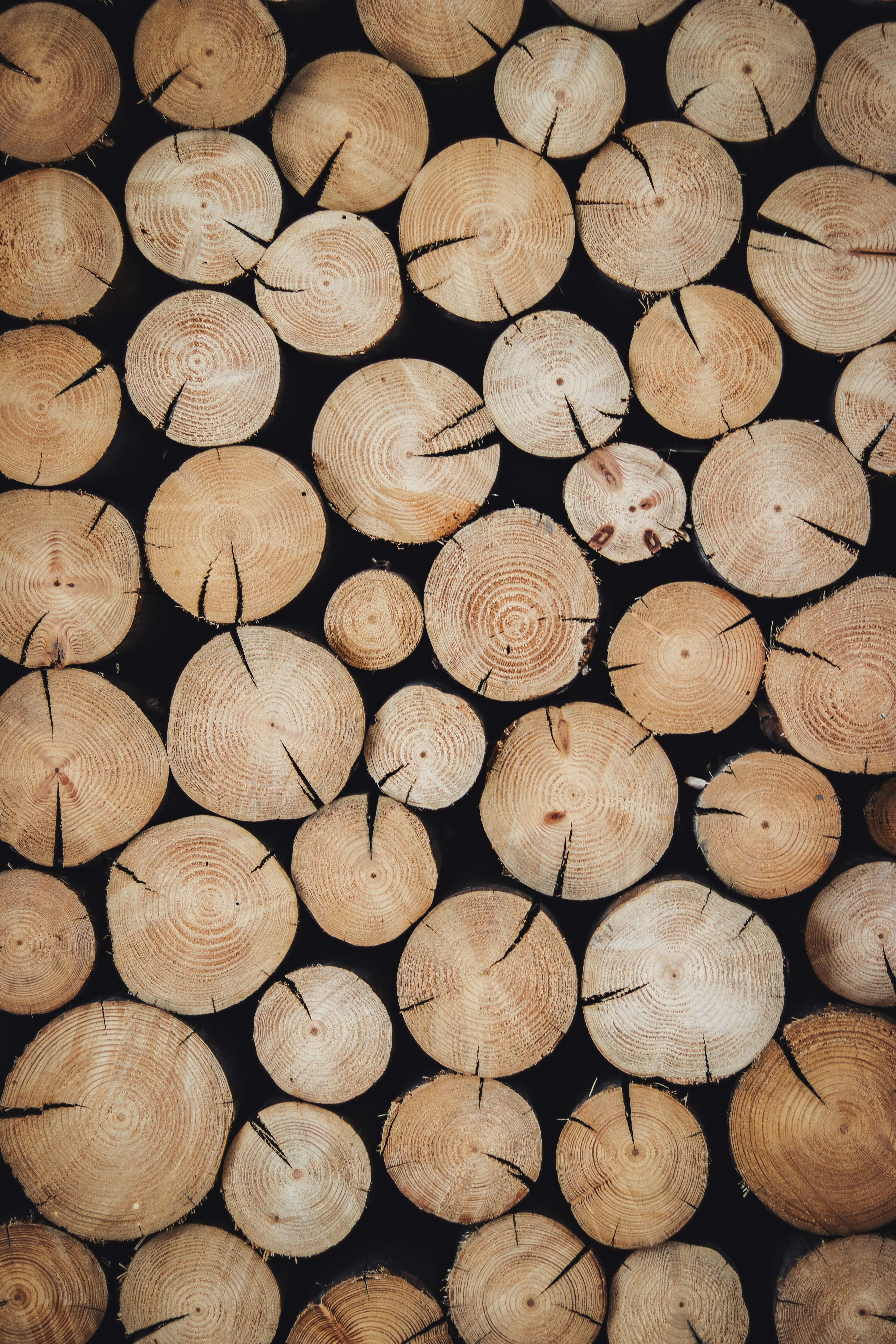 Direct trading of plywood, veneers, timber and packaging from CIS to the Gulf